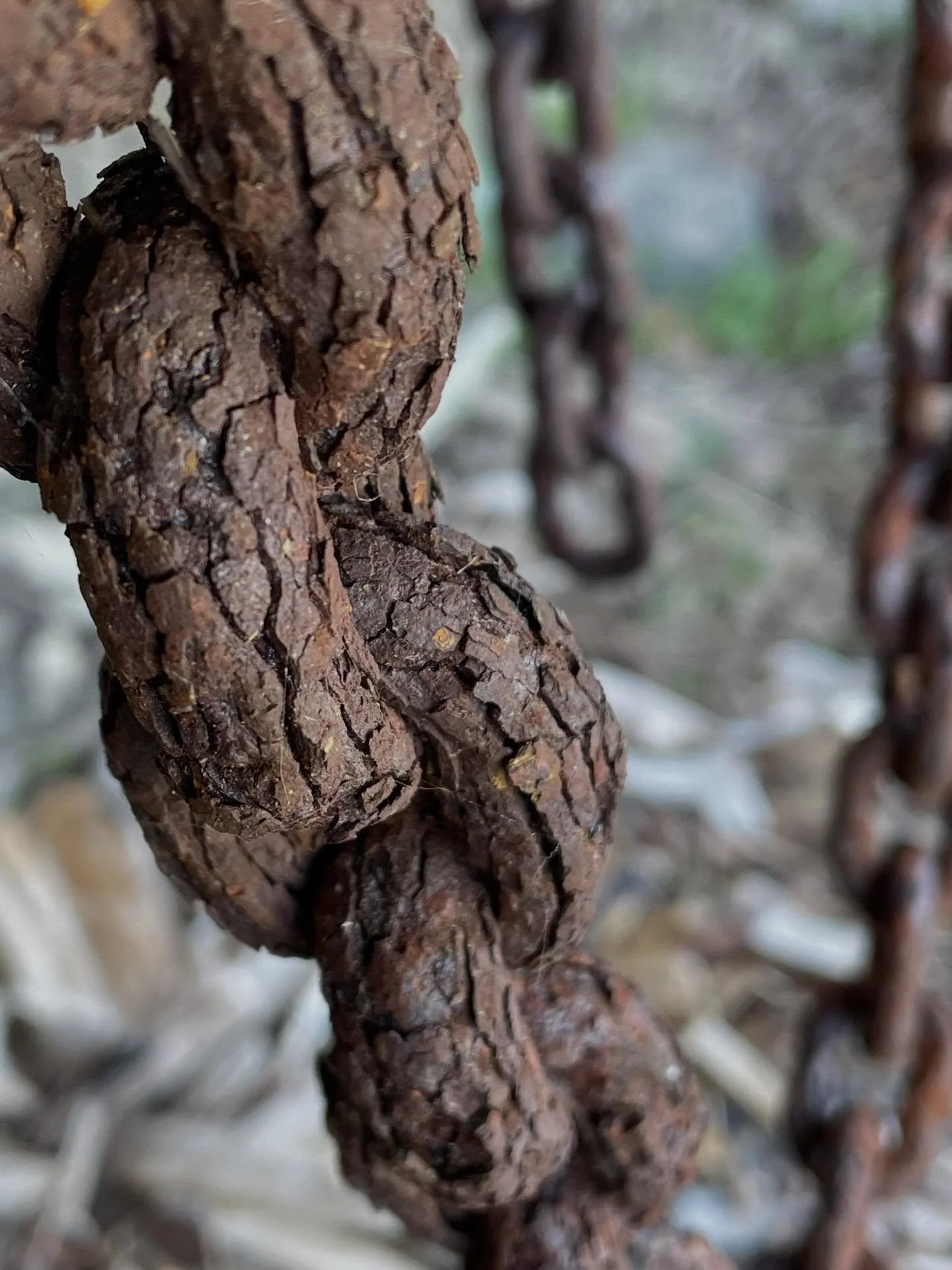 I can&rsquo;t get over how gnarled and ancient these old chains look from who knows how many years of hanging by the sea.