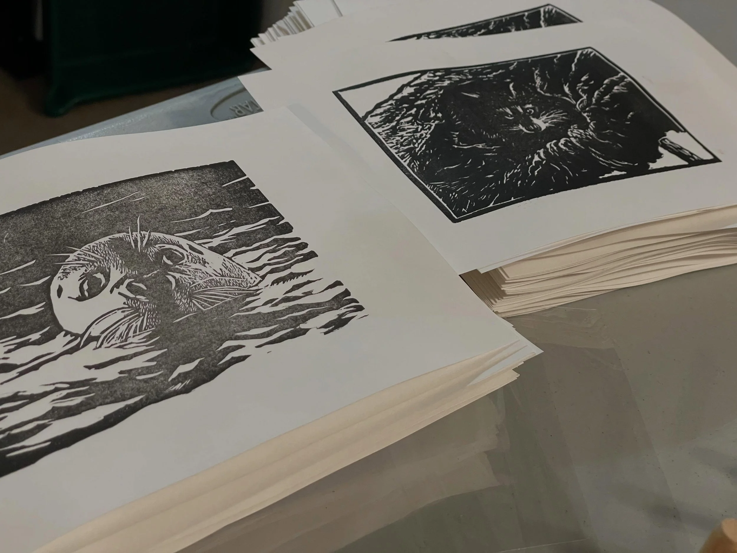 The printmaker&rsquo;s lament. Make tons of prints, but maybe half of them come out good enough to keep and share. These friends didn&rsquo;t make the cut. It&rsquo;s not an exact science, it&rsquo;s a careful balance of ink consistency, paper satura