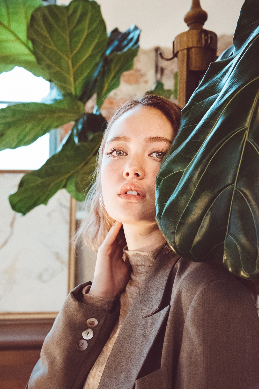 Tree US Tacoma- Fiddle leaf fig tree-Editorial style-Tacoma photographer (Copy)