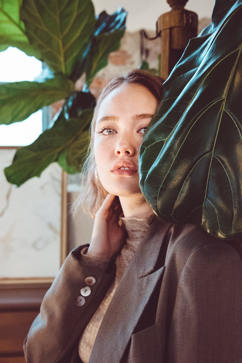 Model with Fiddle leaf fig plant.