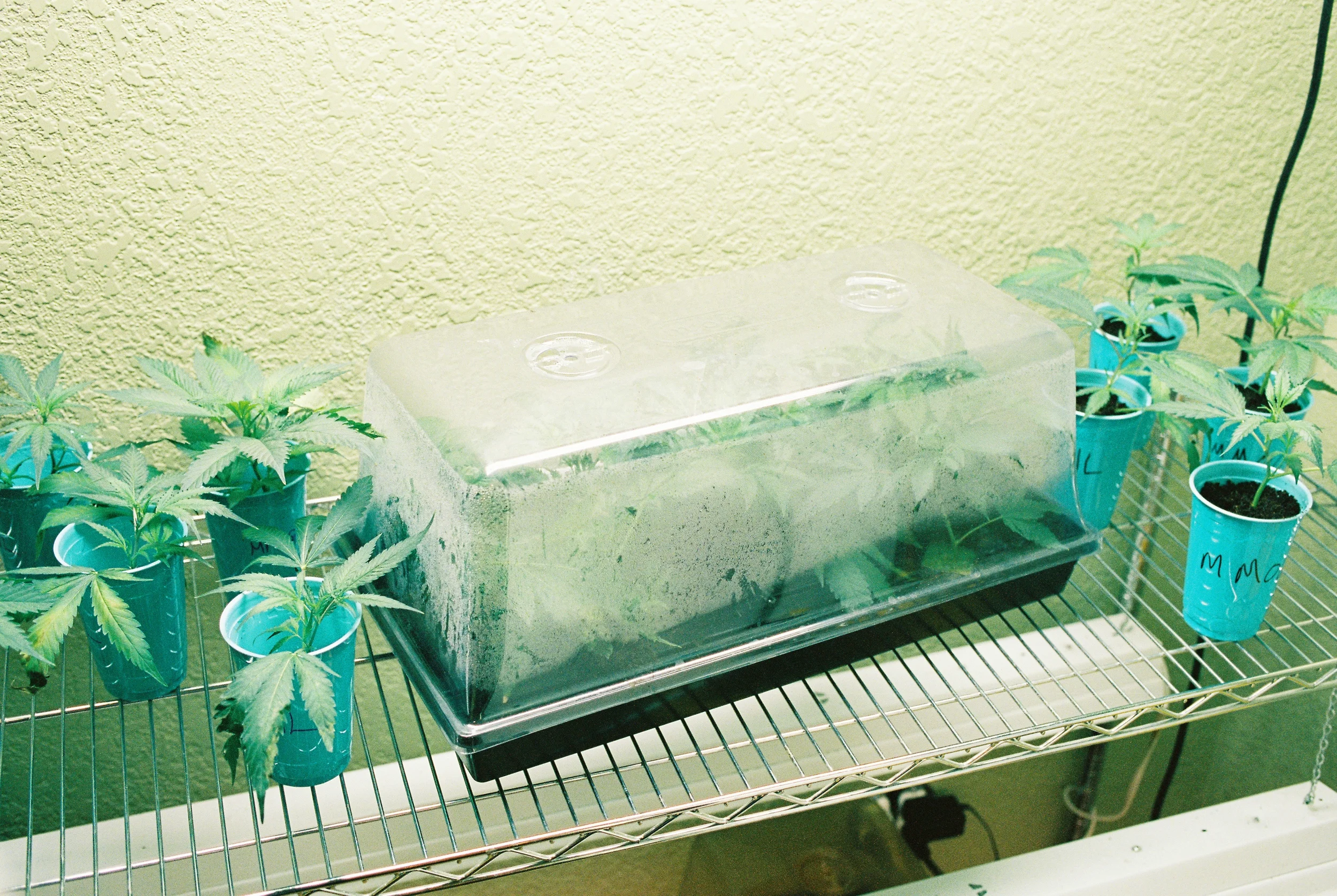 "Citi-Med - January 3rd, 2014"Denver, CO (2014)