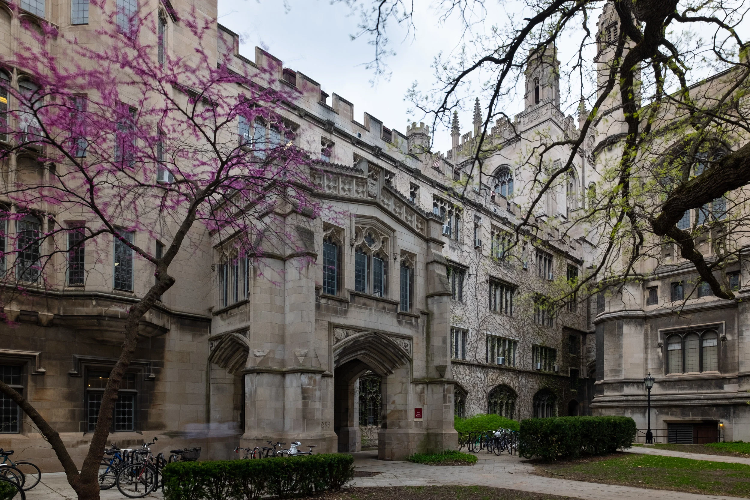 University of Chicago 2.jpg
