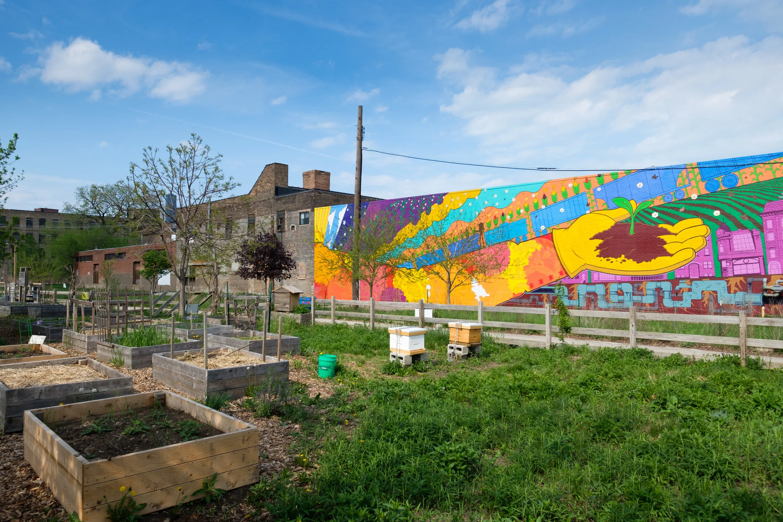 El Paseo Community Garden.jpg