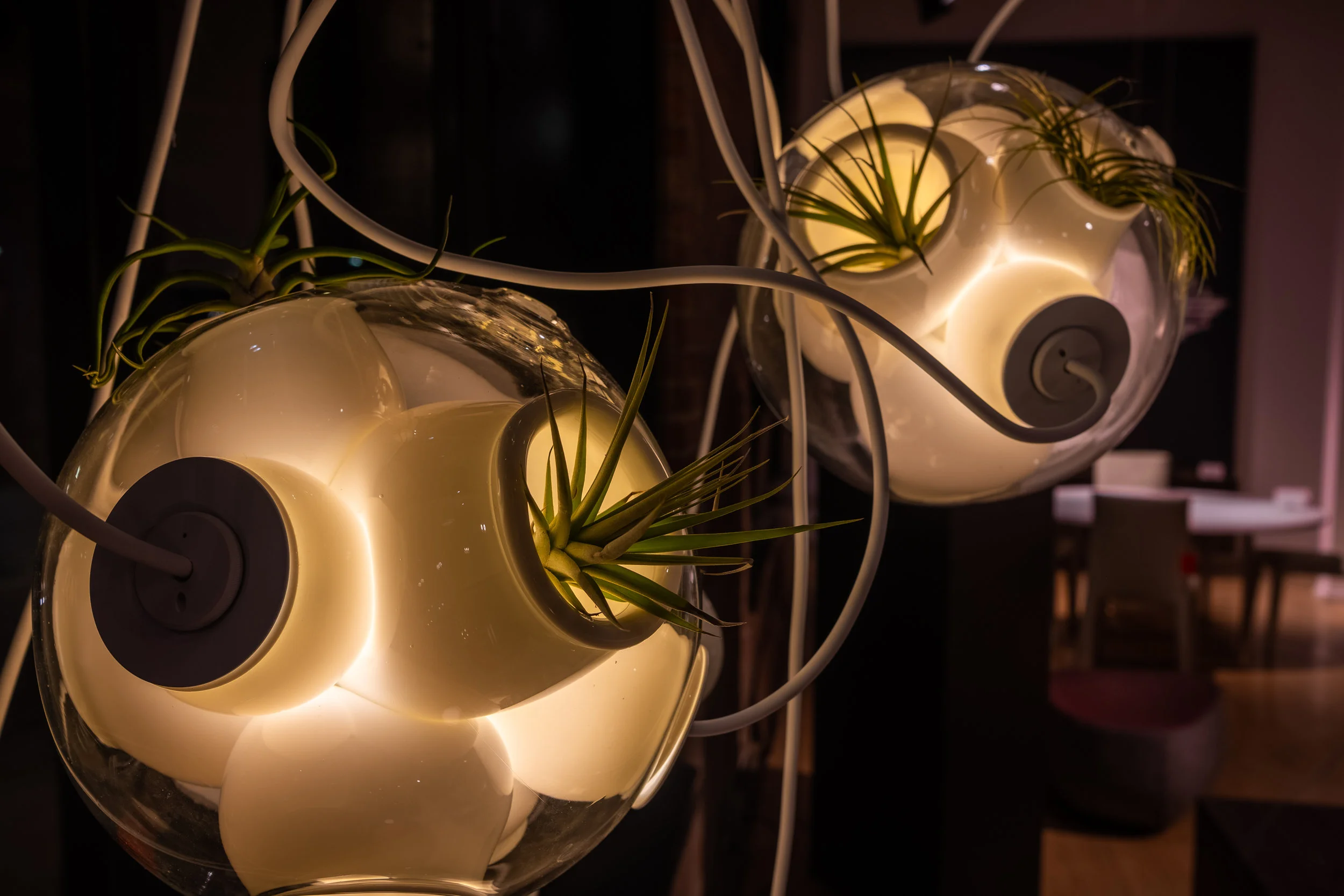 LUMINAIRE_June12_2018_LORES--2.jpg
