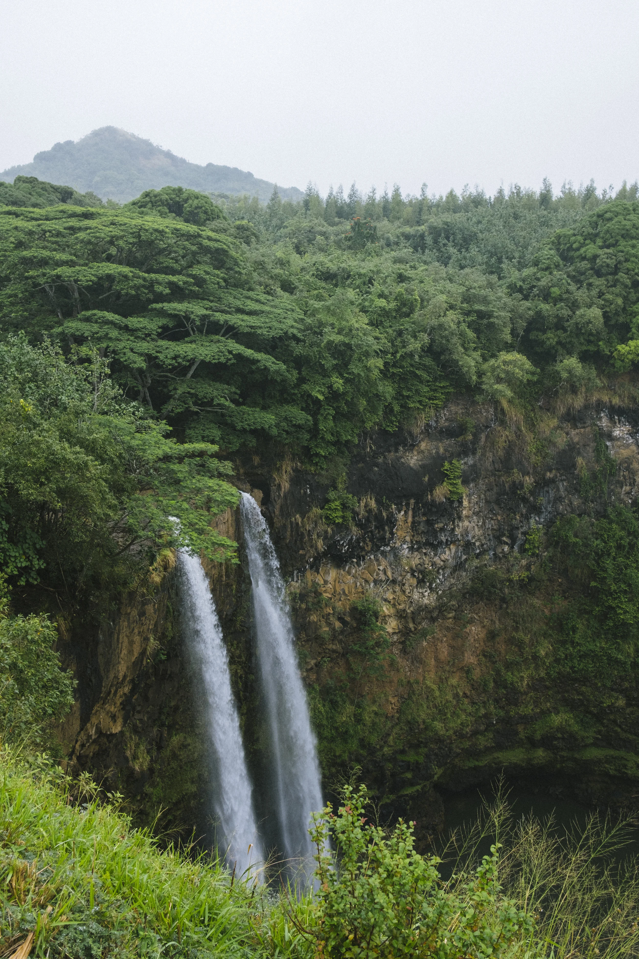 Hawaii_HiRES-81.jpg