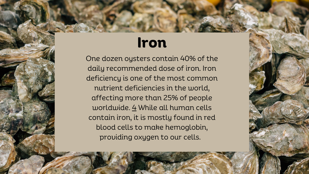 Oysters Nutrient Dense Gems — Dr. Scott Solomons