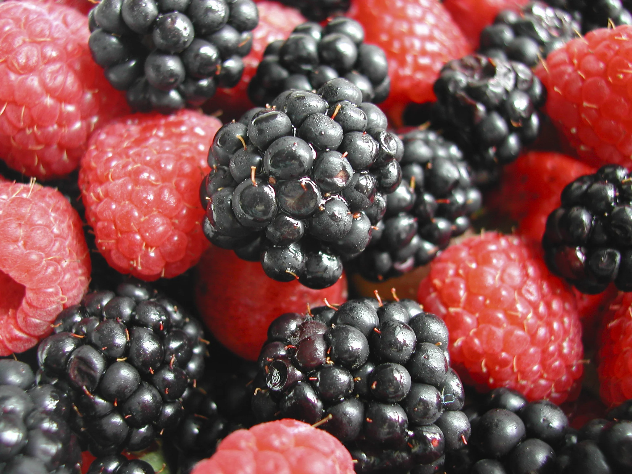 berries.jpg
