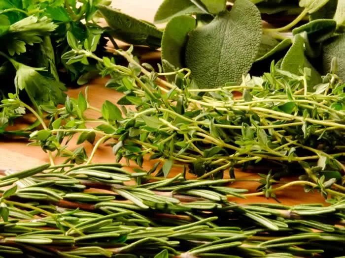 herbs.jpg