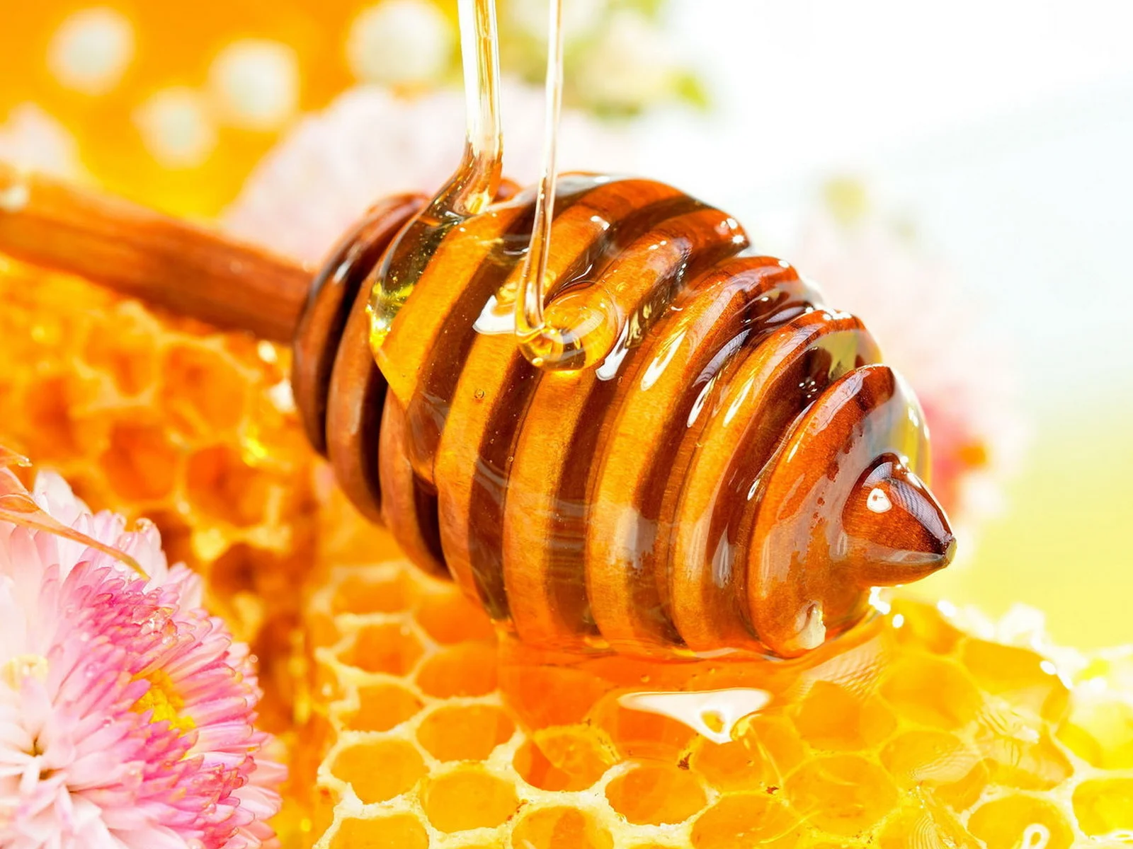 Honey.jpg