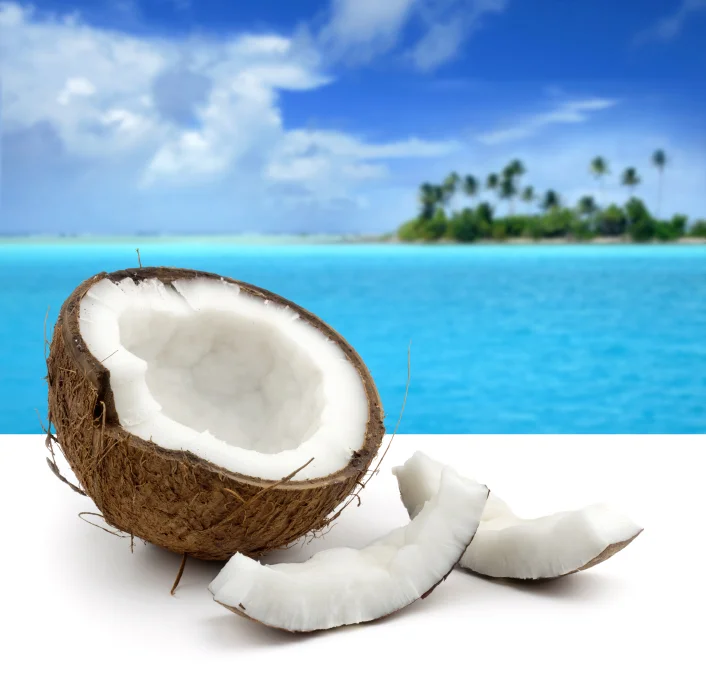 coconutisland.jpg