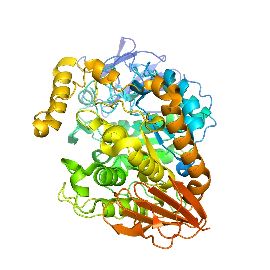 Amylase.jpg