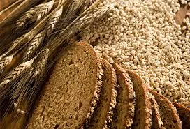 Processed Fermentable Carbohydrate