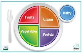 foodplate.jpeg