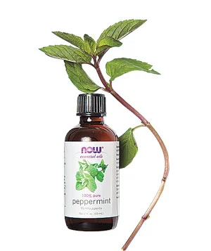 peppermint-oil_300.jpg