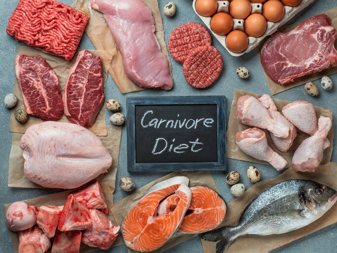 The Carnivore Diet And It s Use As A Preventative Against Tooth Decay carnivore-diet-food-list-what-foods-can-i-eat