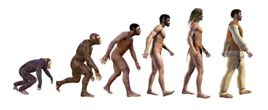 Human Evolution Parade.jpg