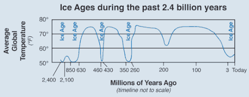 The Ice Age and How it Shaped Human Evolution — Dr. Scott Solomons