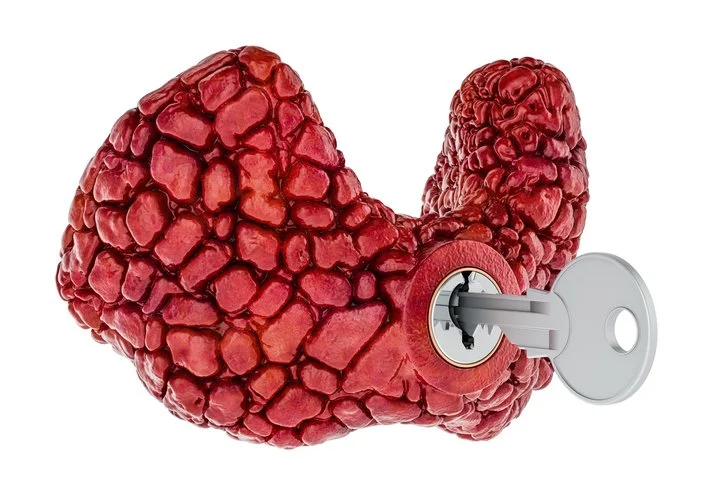 Human-thyroid-with-key.-Research-and-diagnosis-concept.-3D-rendering-1530945188_730x484.jpeg