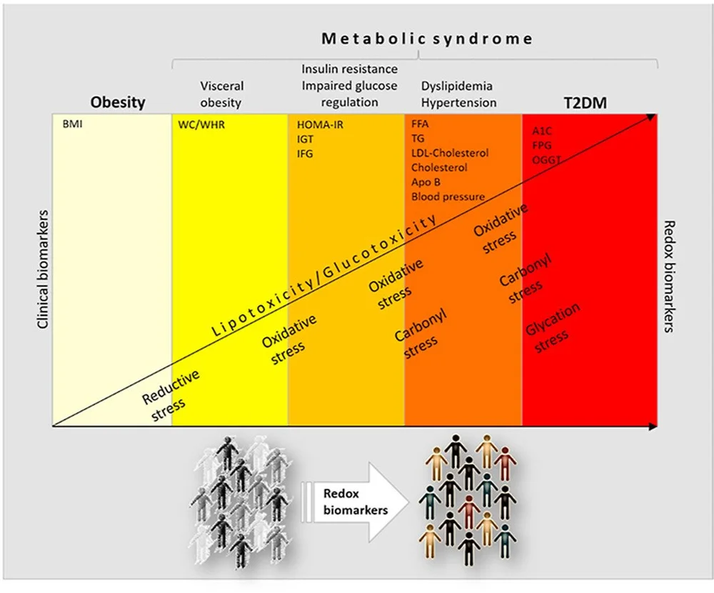 Obesogens Examples A Unifying Theory Explaining the Obesity Epidemic — Dr. Scott Solomons