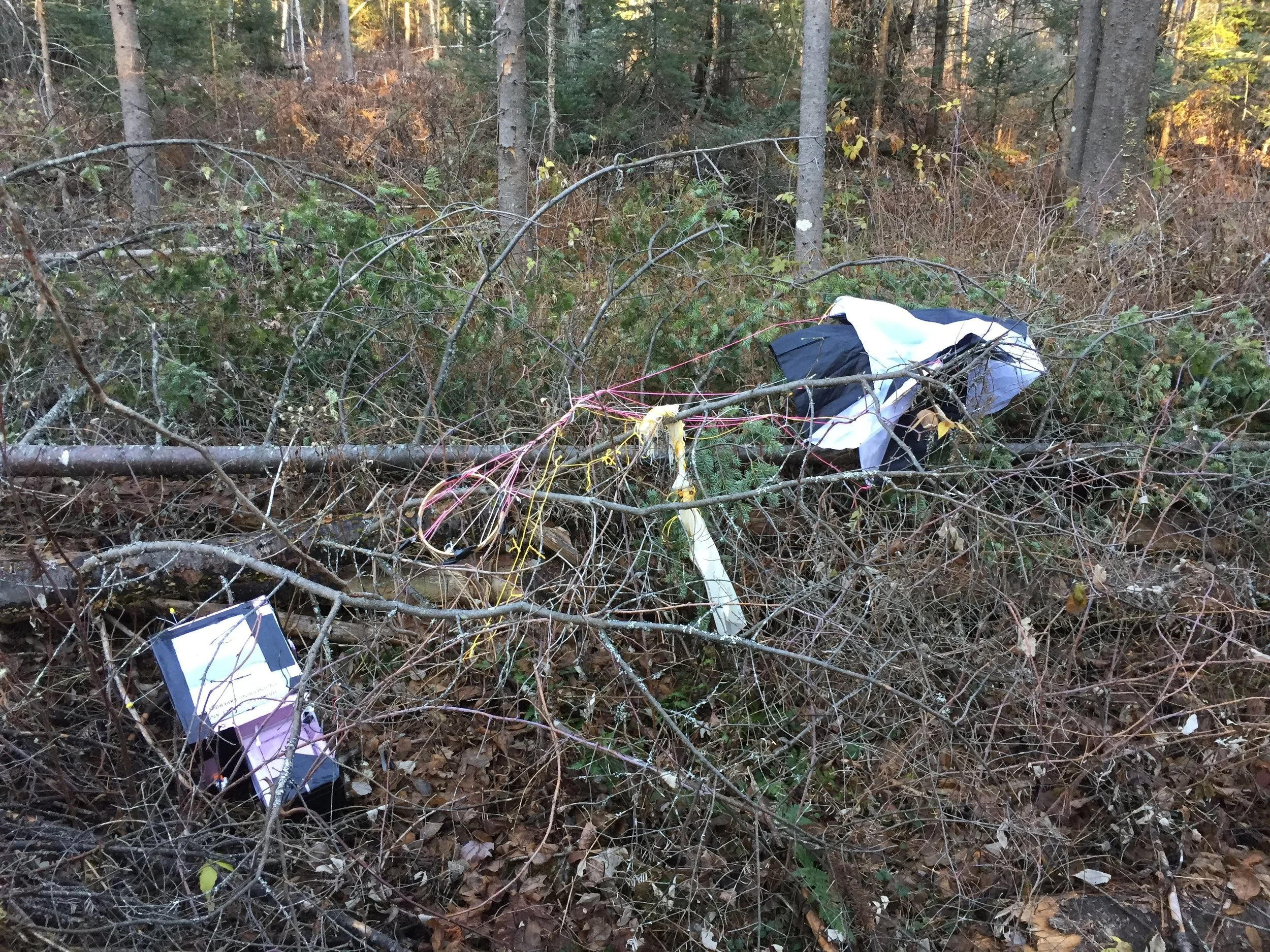  Found!  Visible in the picture from upper left to lower right are: a) parachute, b) latex from the balloon, c) pink and yellow nylon rope lines, and d) the payload box containing Profile's cameras and radio systems. 