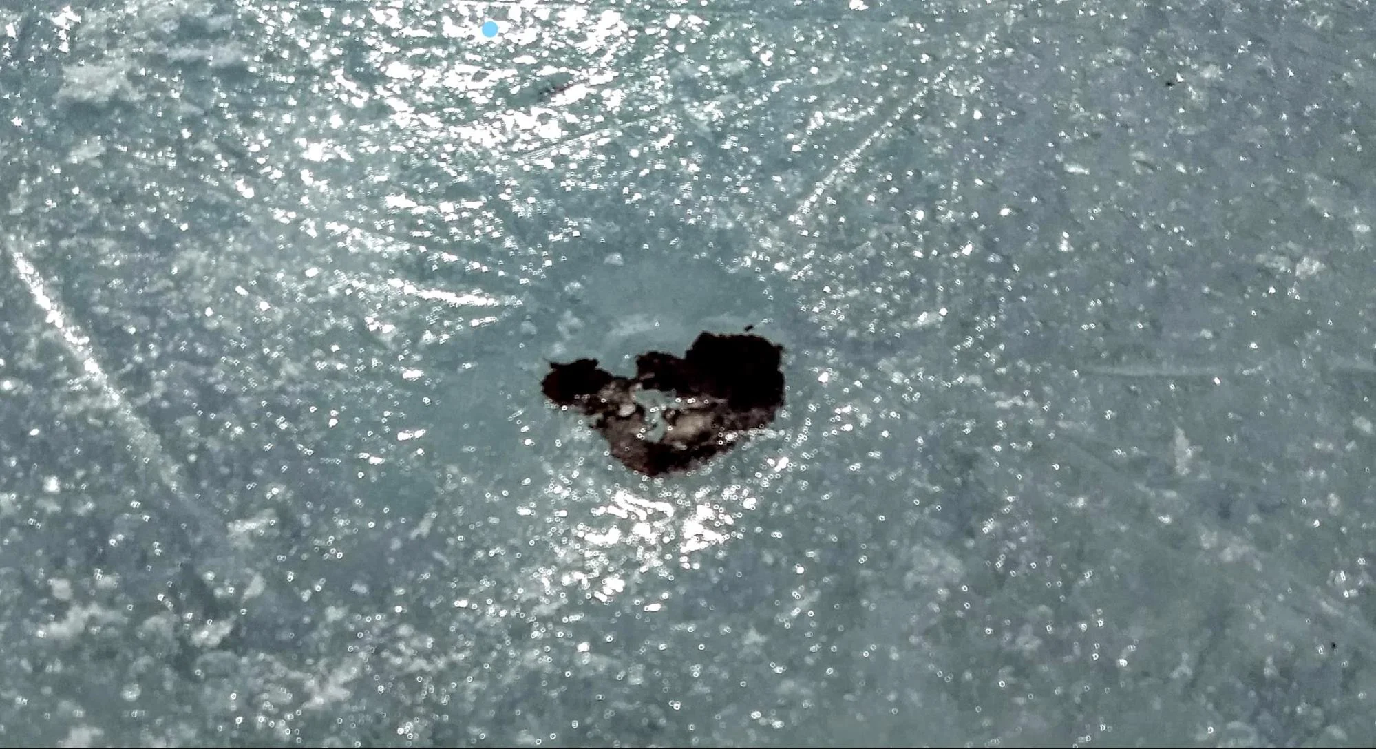   Leaf-induced divot. Not visible: the tears on my computer keyboard.  