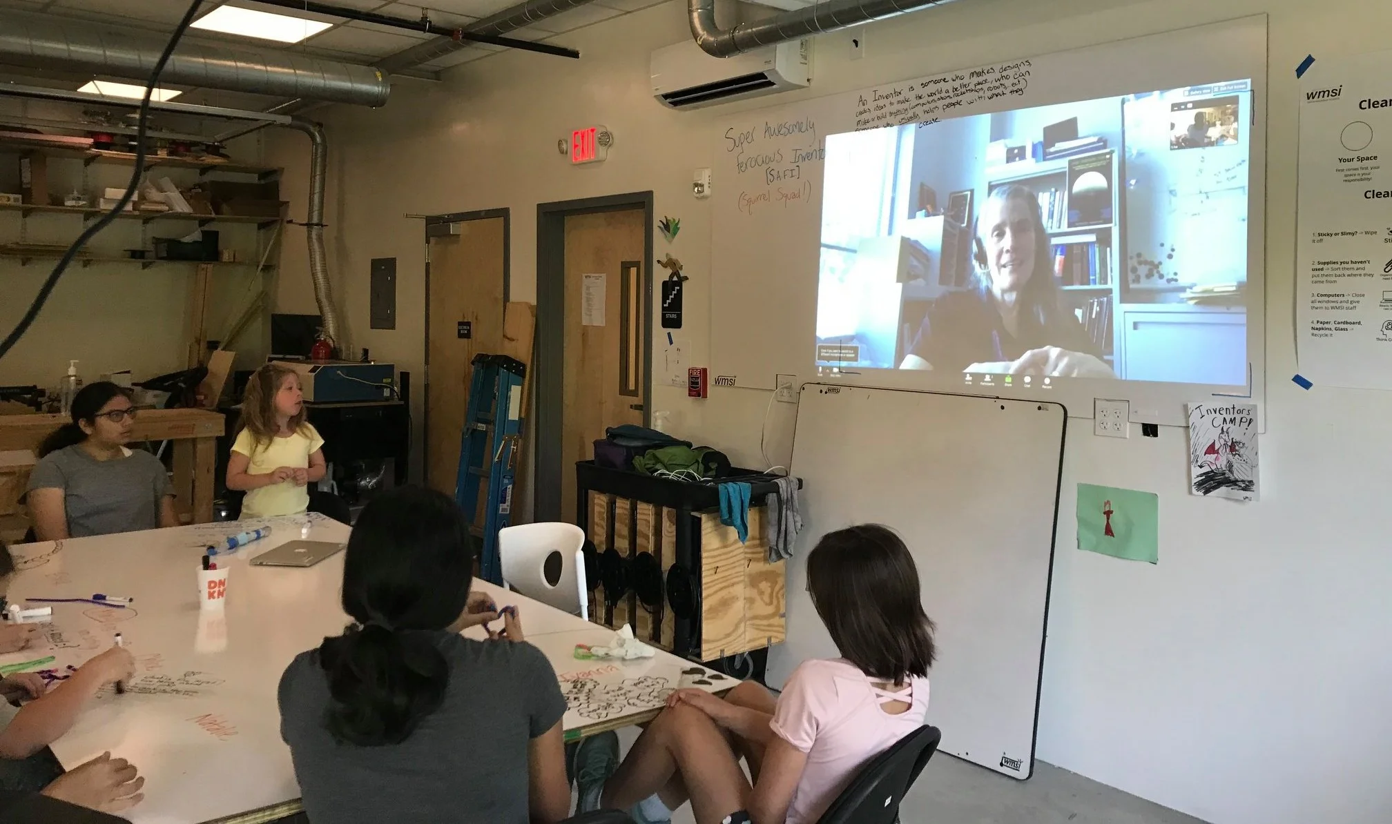  Q&A with Zibi Turtle 