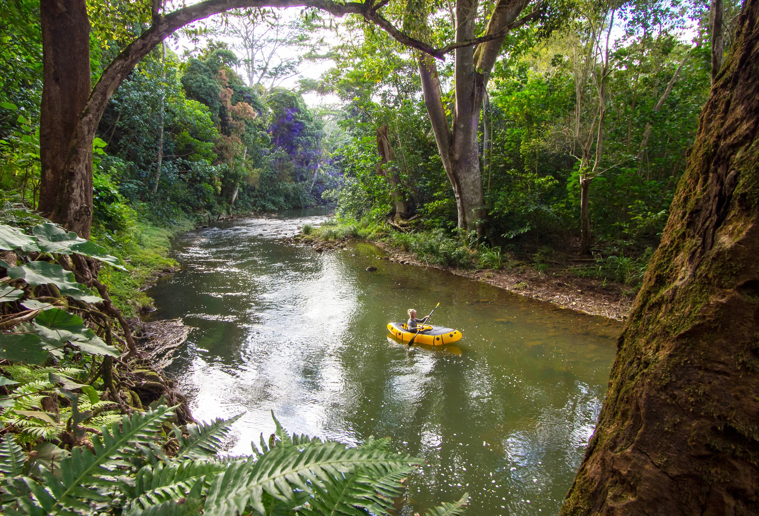 @KalenThorien exploring the remote rainforest on the island of Kauai.