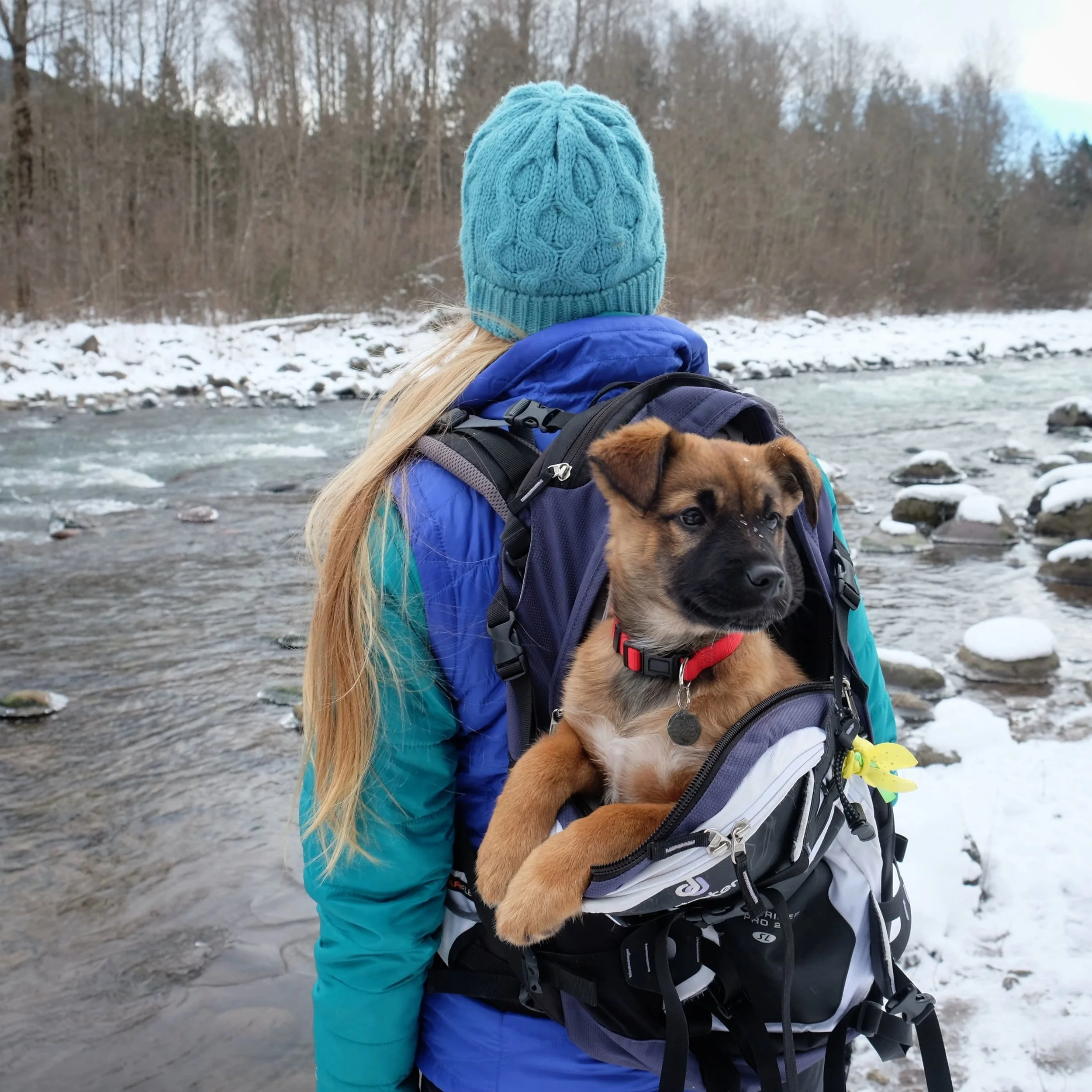 Becca.Tarbox.DogPackrafting2-min.jpg