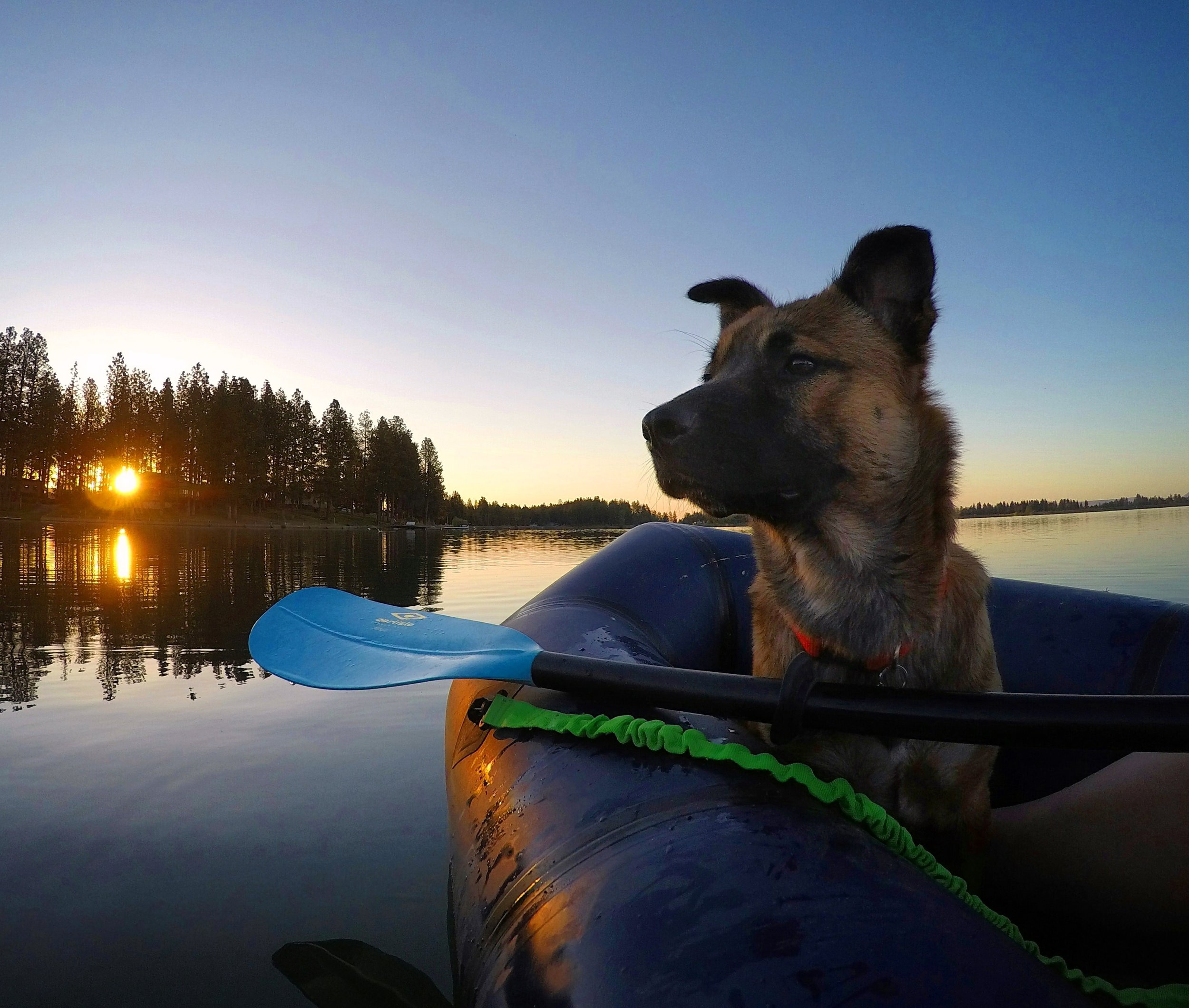 Becca.Tarbox.DogPackrafting6-min.jpg