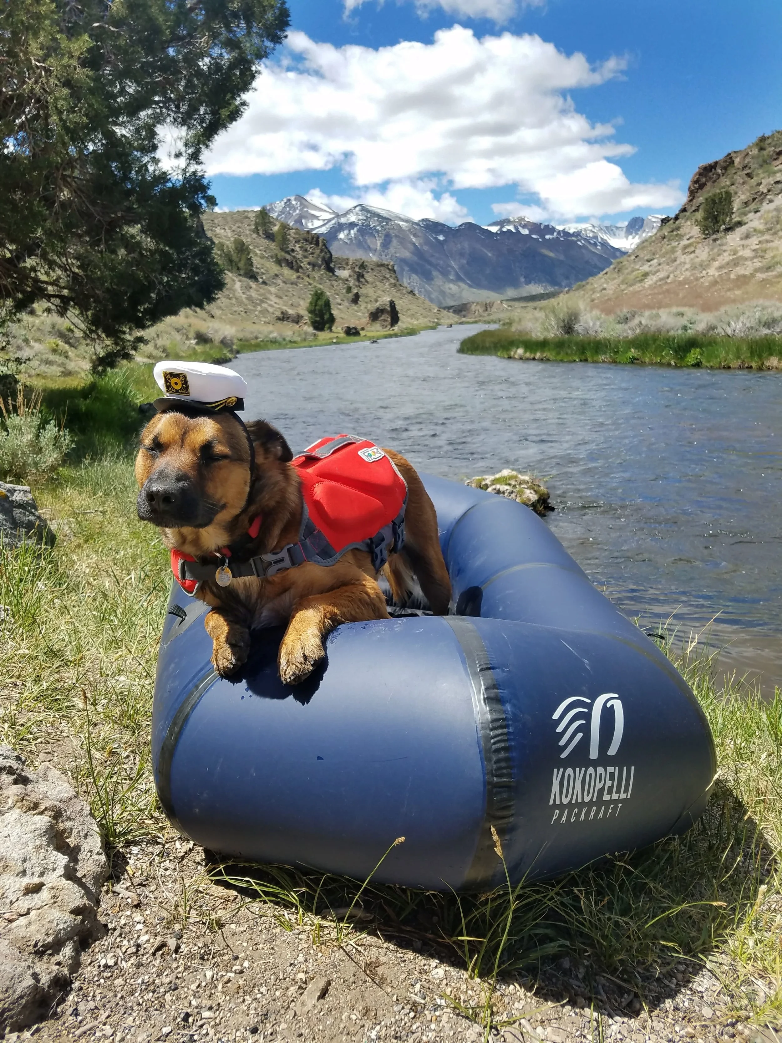 Becca.Tarbox.DogPackrafting9-min.jpg