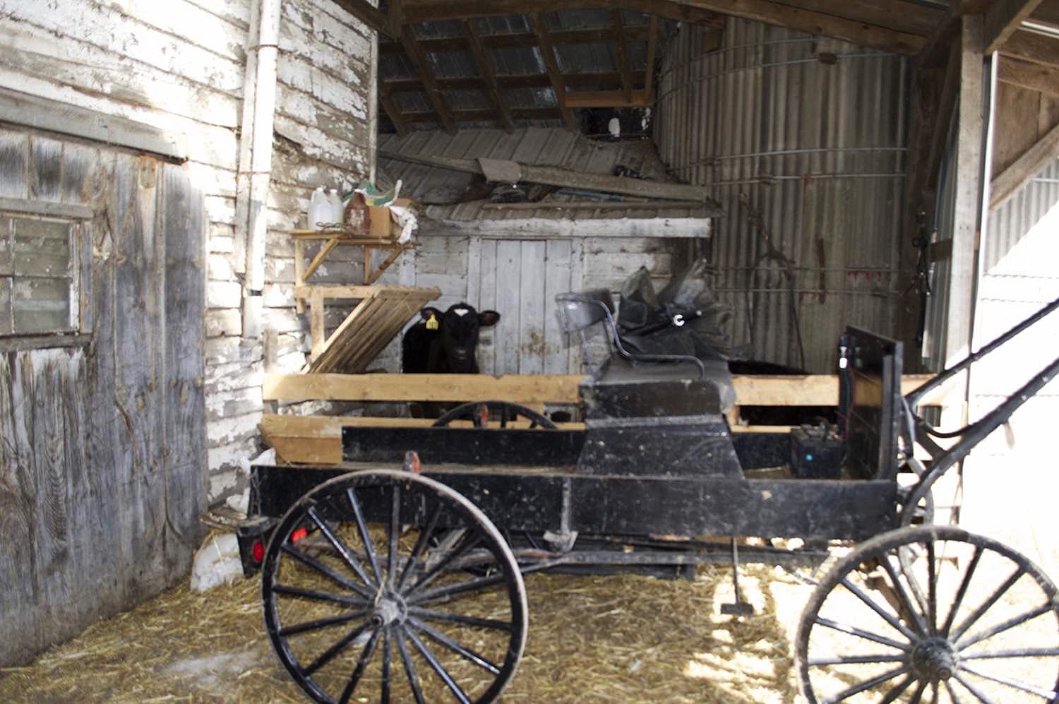 barn basement carriage.jpg
