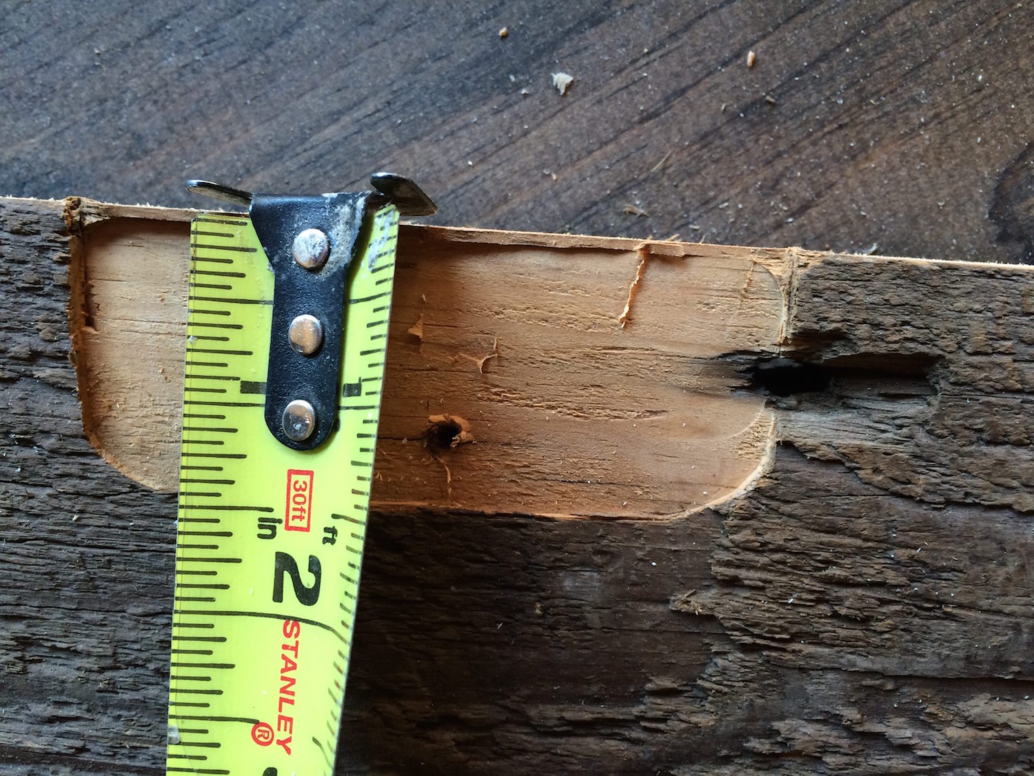 spring x - hinge depth.jpg