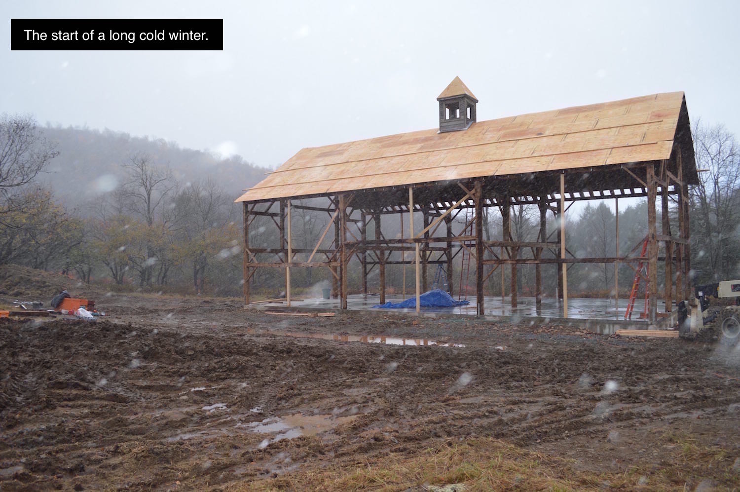 1n fall - sleet.jpg
