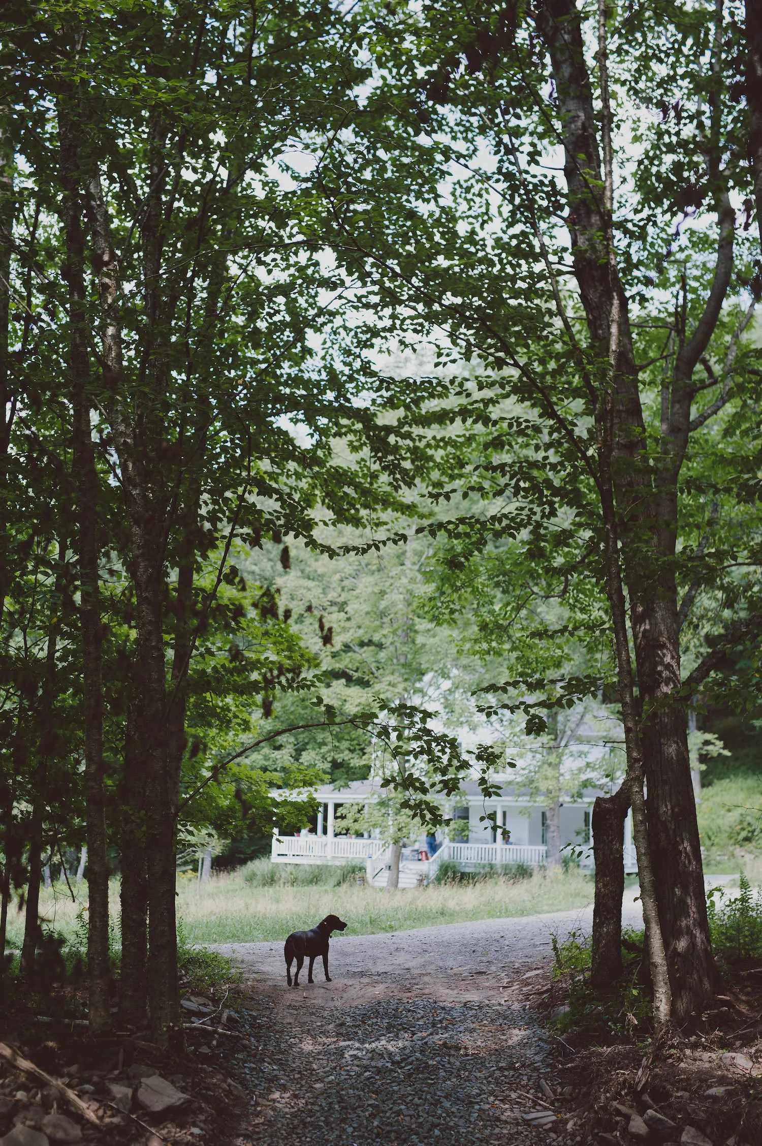 364_LOVE+WOLVES_SarahKate+Binayak.jpg