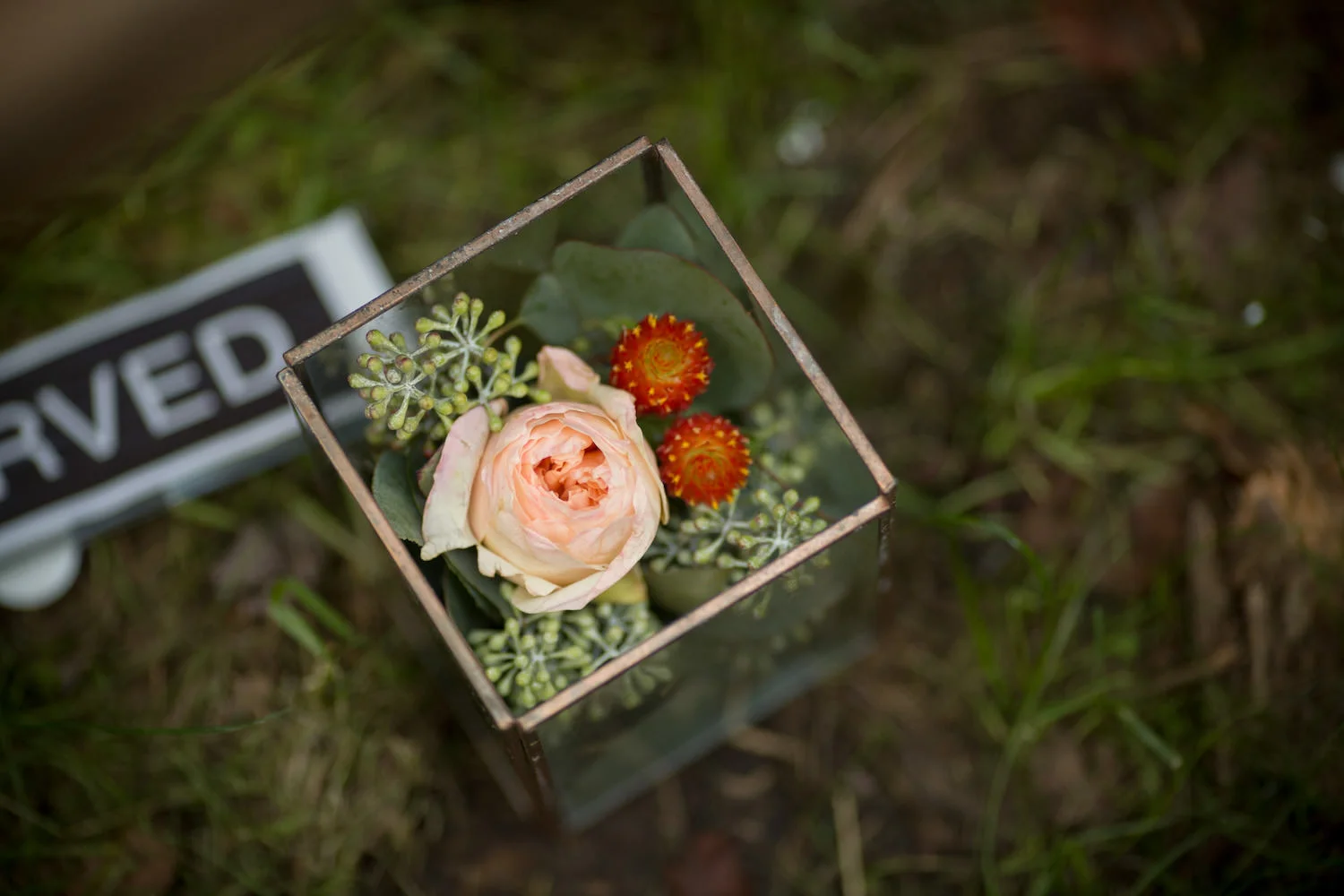 lauren-ty-reception2-137.jpg