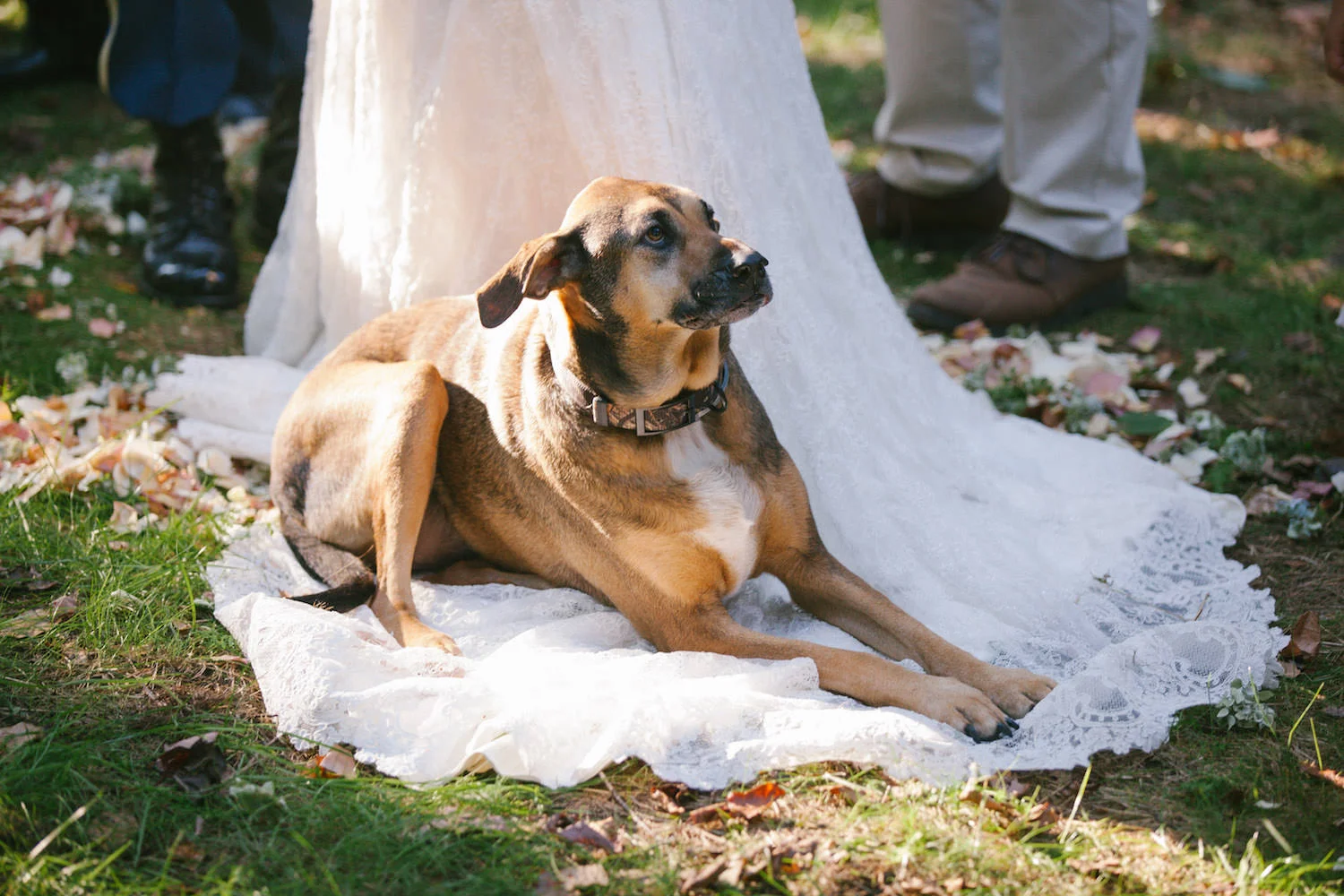 1640_Wedding_378.jpg