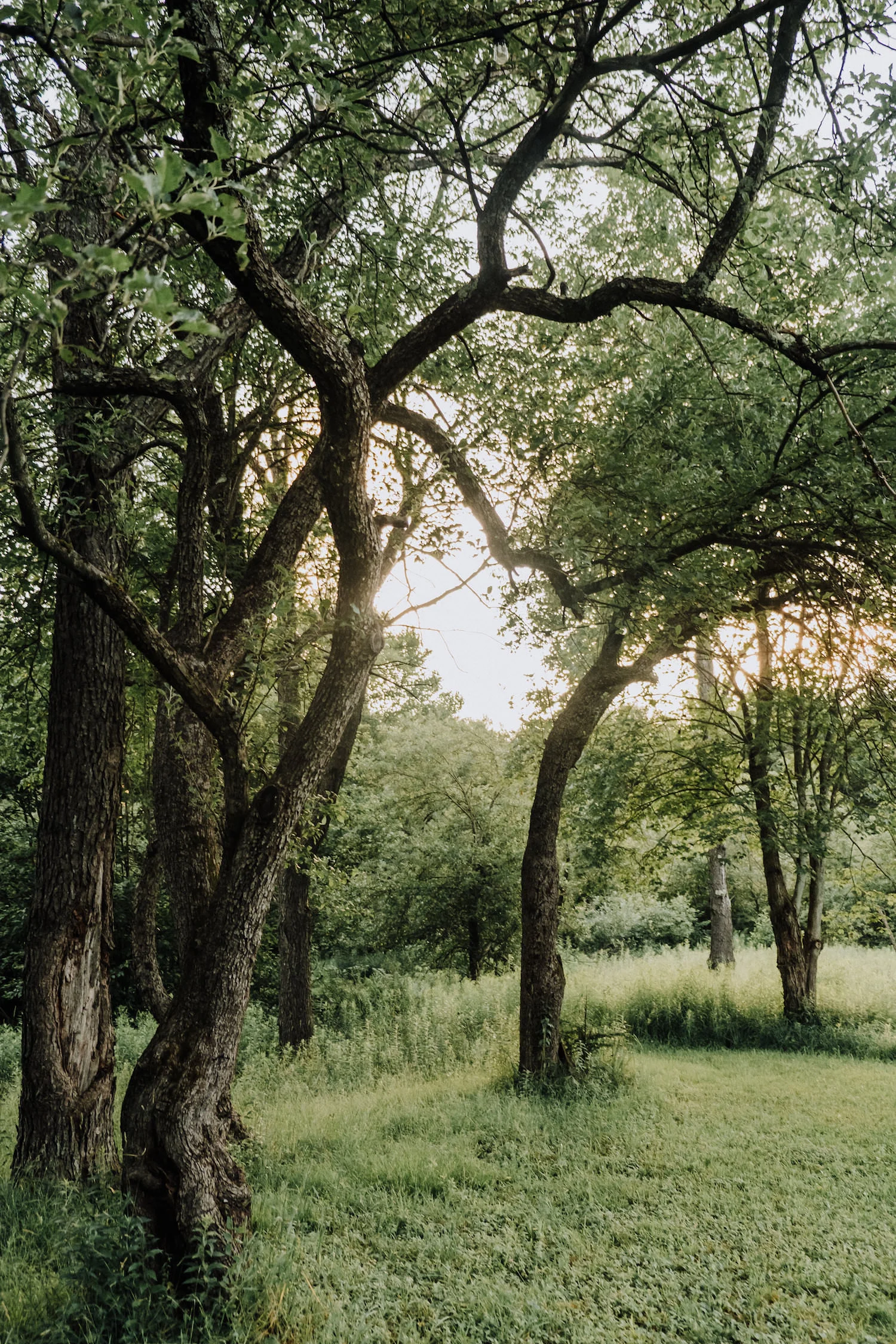 EagerHeartsPhoto_CDW2018-0848.jpg