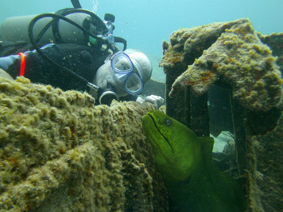 Diver and Eel.jpg