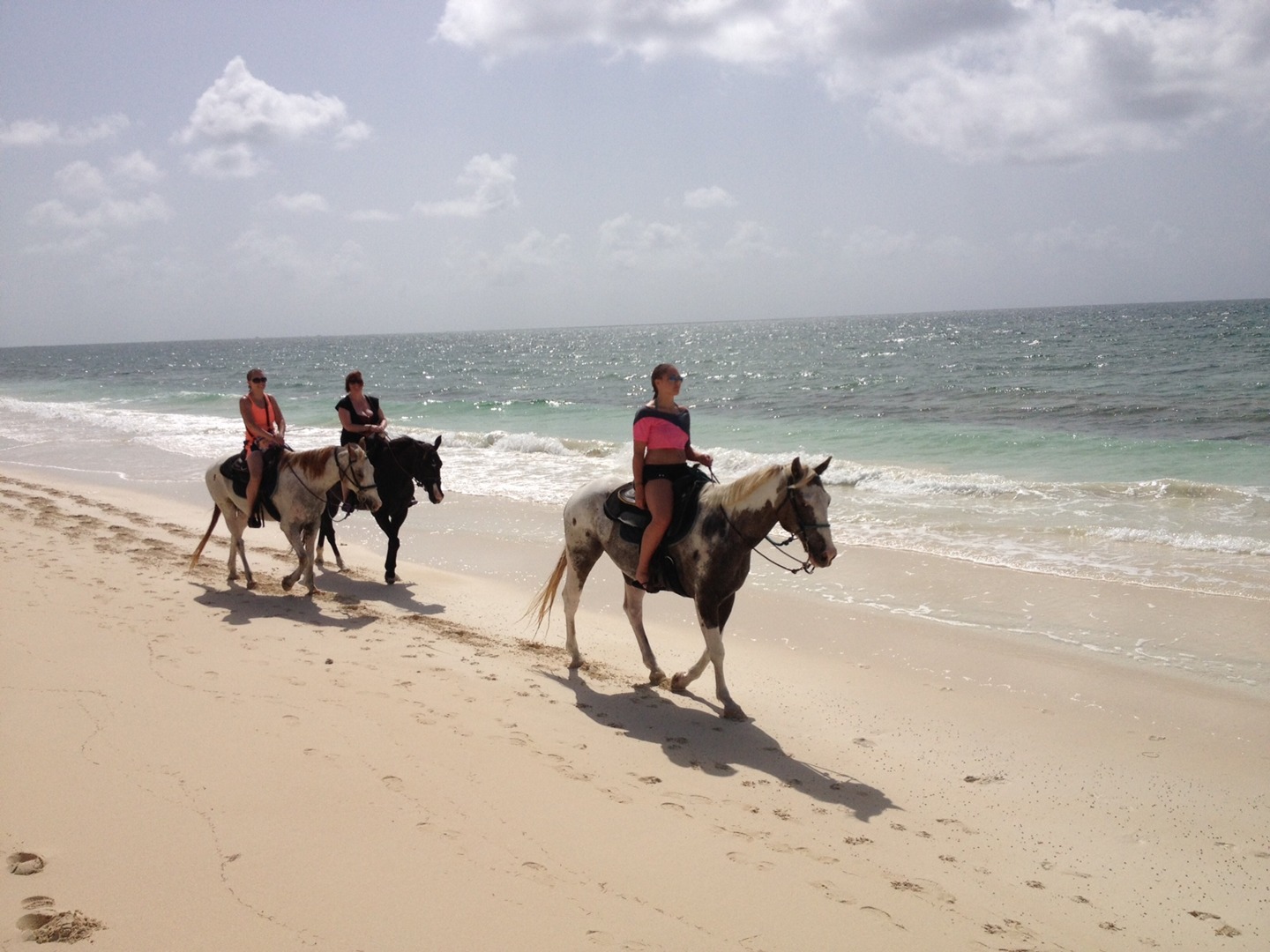 beachhorses2.jpg