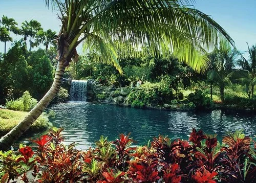garden-of-groves.jpg