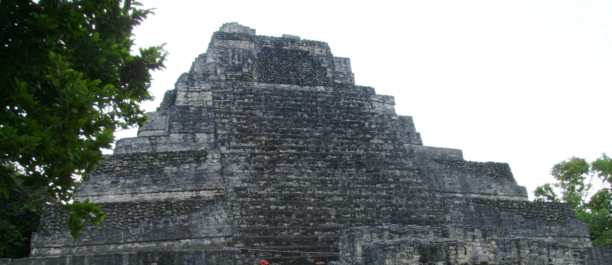 PICT0169.jpg