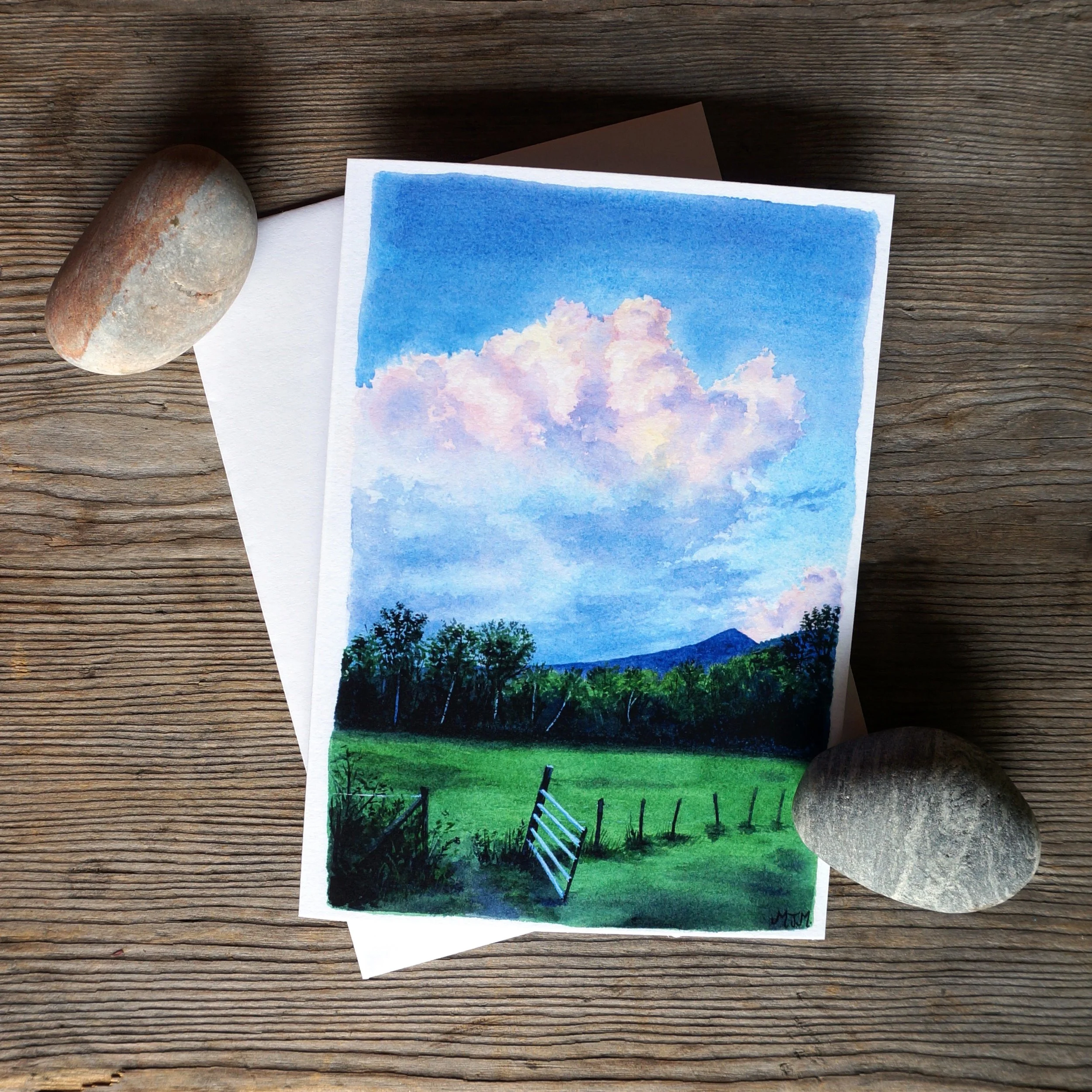 Soft Summer Evening.jpg