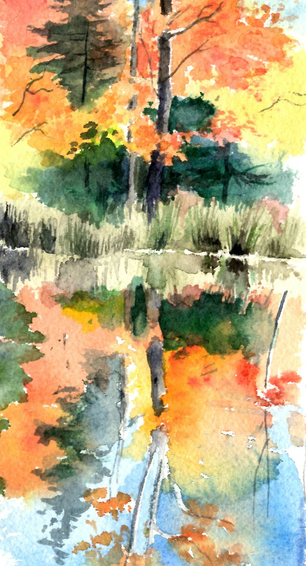 Zealand Pond, White Mountains, NH, 9/27/14