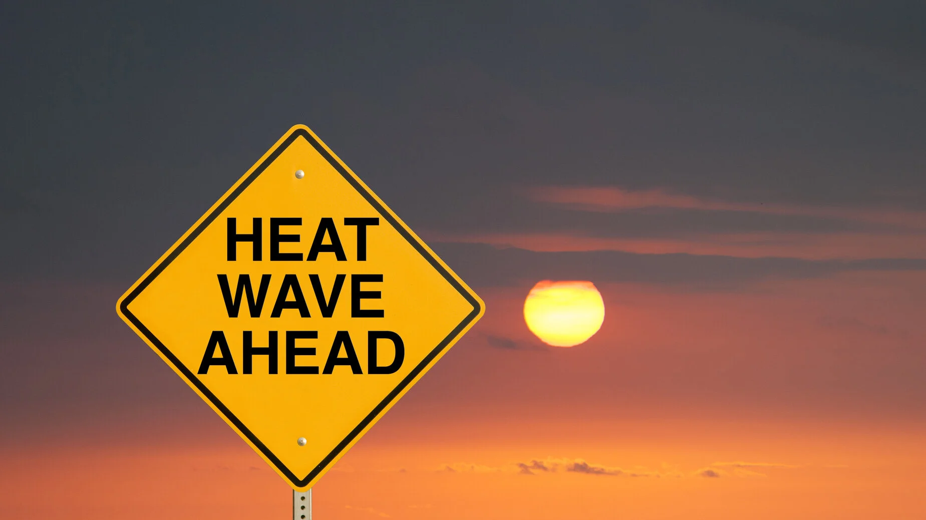 The cost of heatwaves
