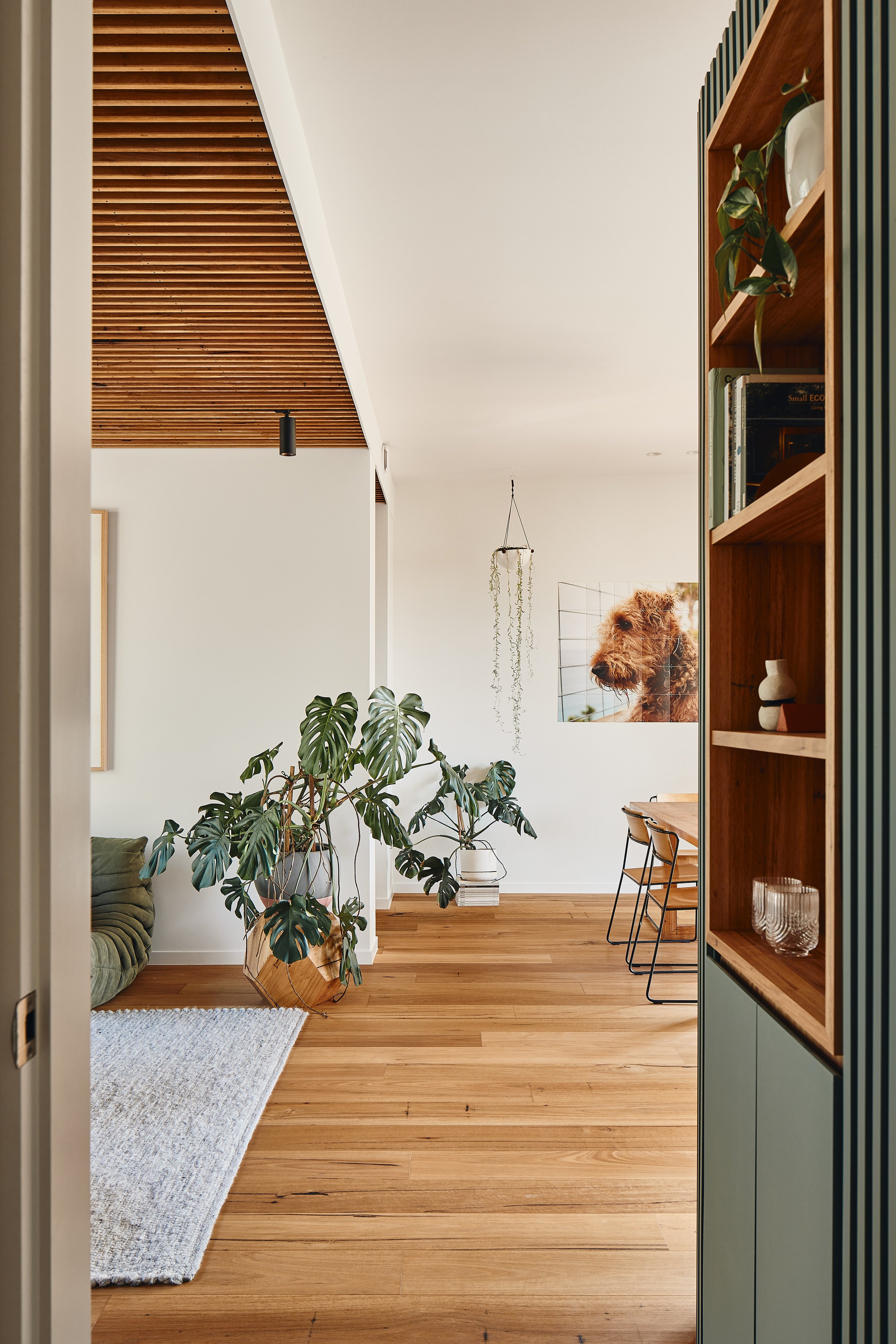 231123 HarryPassiveHouse 0210.jpg