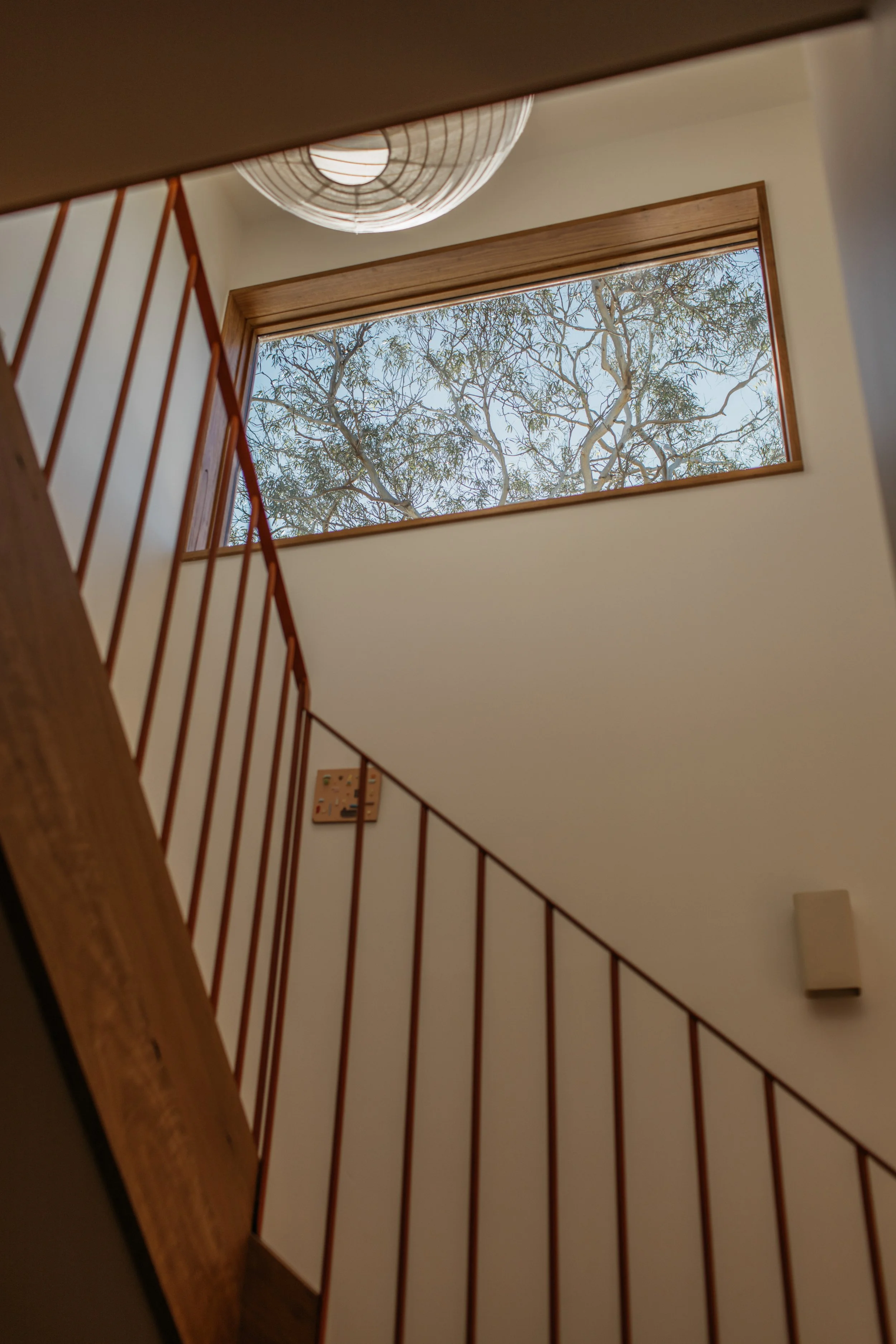Fernald Ave, Anglesea-28.jpg