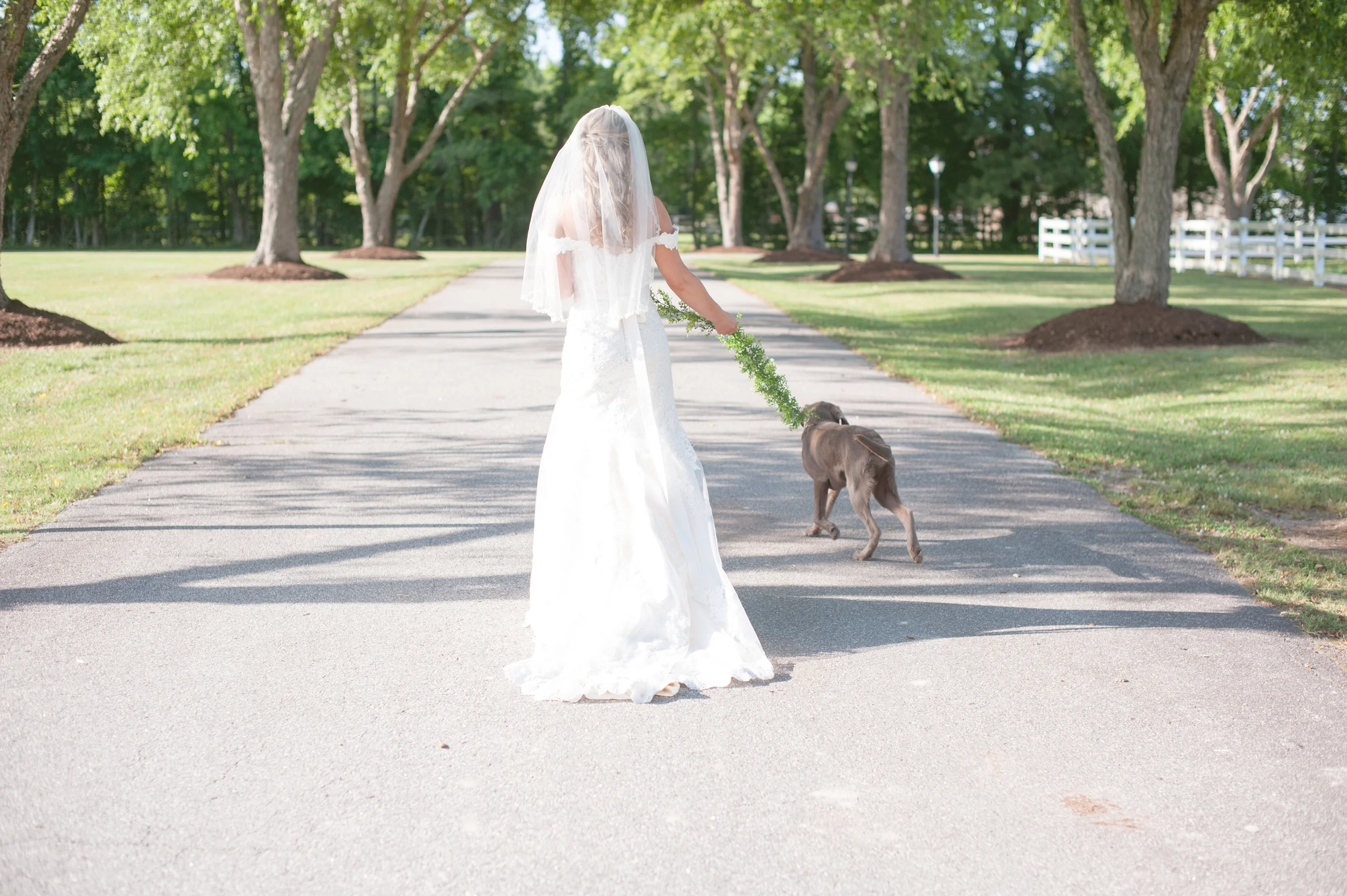 Katie - Bridals | Virginia Beach Portrait Photographer