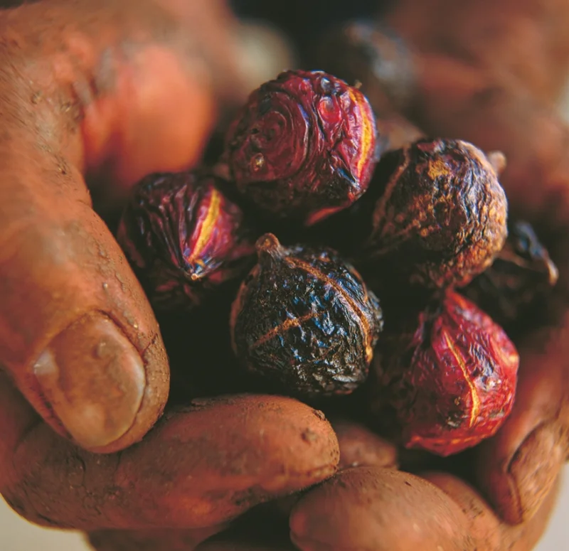 MADE for Rio Tinto Australian Diamonds