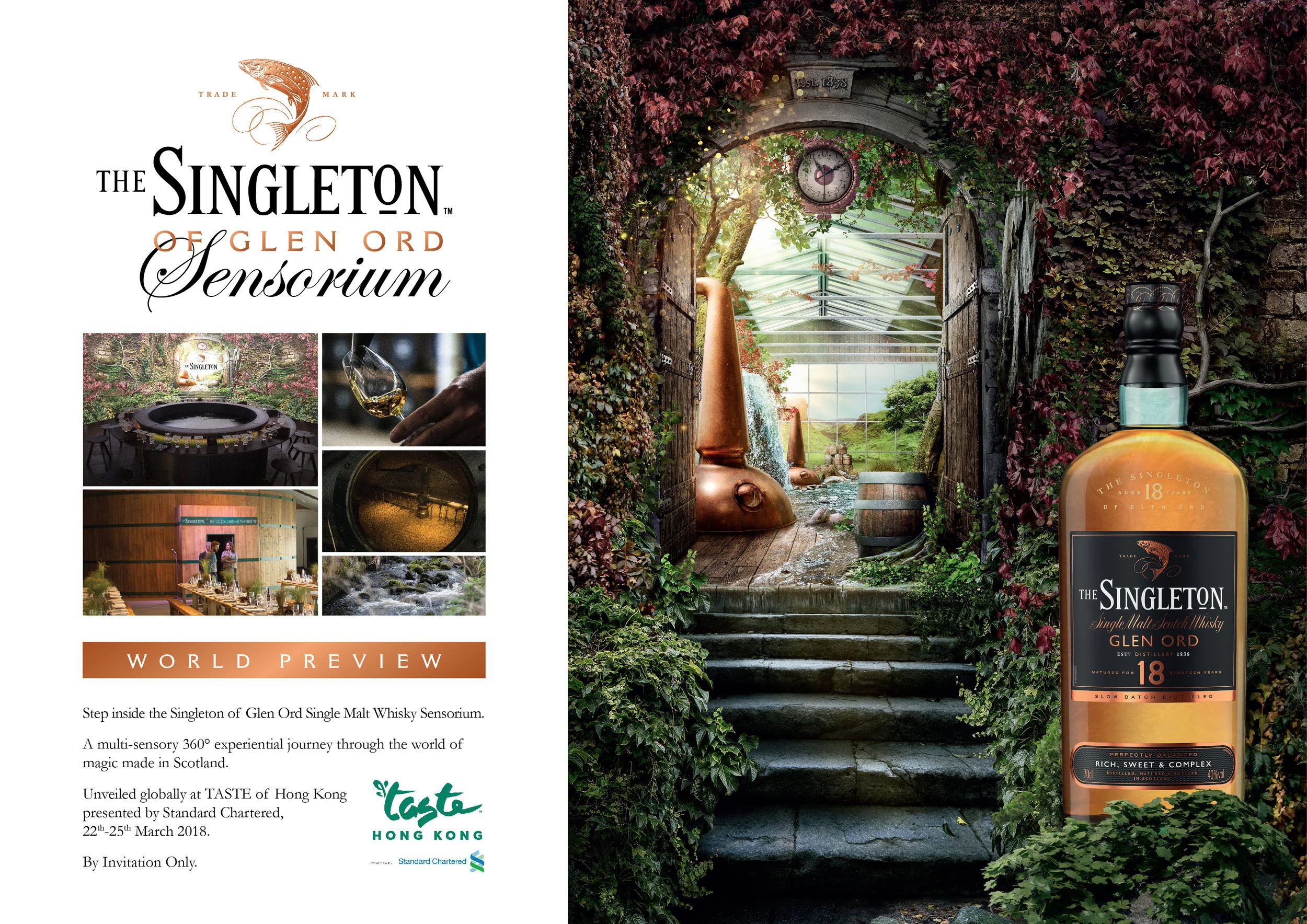 Singleton Sensorium EDM 6-04.jpg