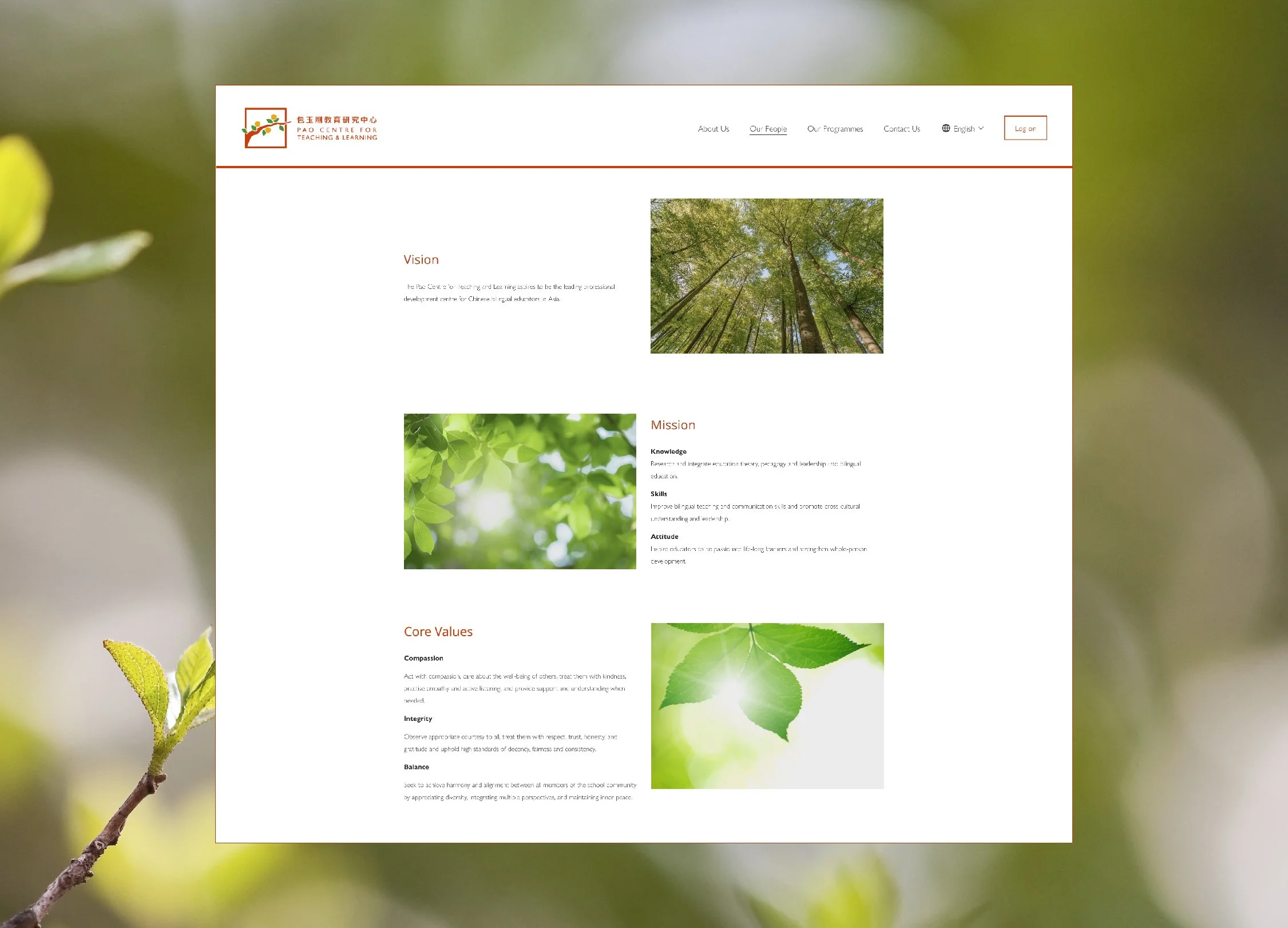 Website layout-01.jpg